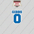 2026 Detroit Lions Name and Number Glossy Stickers