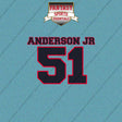 2026 Houston Texans Name and Number Car Decals