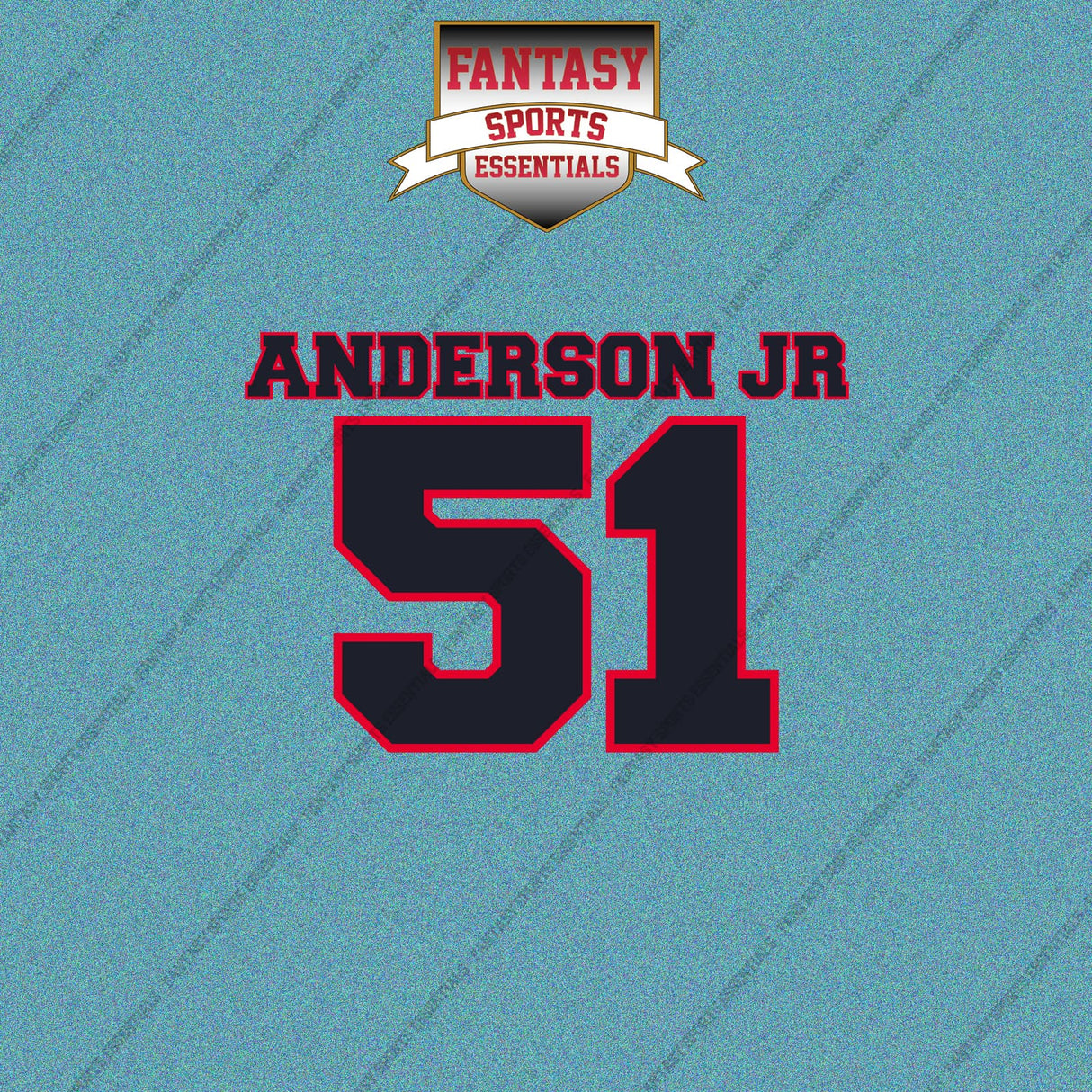 2026 Houston Texans Name and Number Car Decals