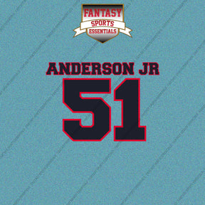 2026 Houston Texans Name and Number Car Decals
