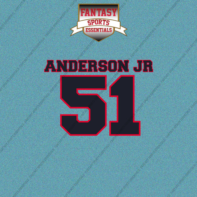 2026 Houston Texans Name and Number Car Decals