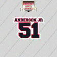 2026 Houston Texans Name and Number Glossy Stickers
