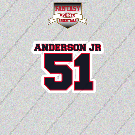 2026 Houston Texans Name and Number Glossy Stickers