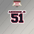 2026 Houston Texans Name and Number Magnets