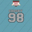 2026 Las Vegas Raiders Name and Number Car Decals