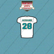 2026 Miami Dolphins Away Jersey Car Decals