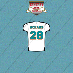 2026 Miami Dolphins Away Jersey Car Decals