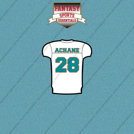 2026 Miami Dolphins Away Jersey Car Decals