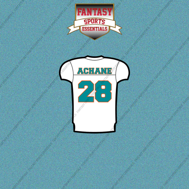 2026 Miami Dolphins Away Jersey Car Decals