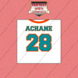 2026 Miami Dolphins Away Jersey Wall Art Prints