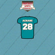 2026 Miami Dolphins Home Jersey Car Decals