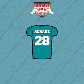 2026 Miami Dolphins Home Jersey Car Decals
