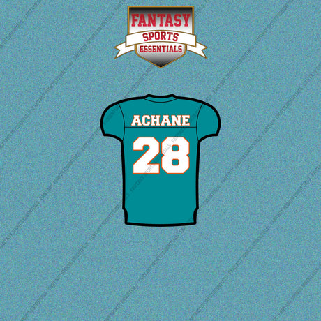 2026 Miami Dolphins Home Jersey Car Decals