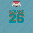2026 Miami Dolphins Name and Number Car Decals