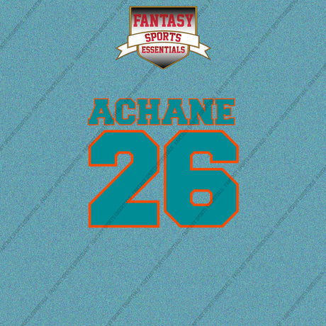 2026 Miami Dolphins Name and Number Car Decals