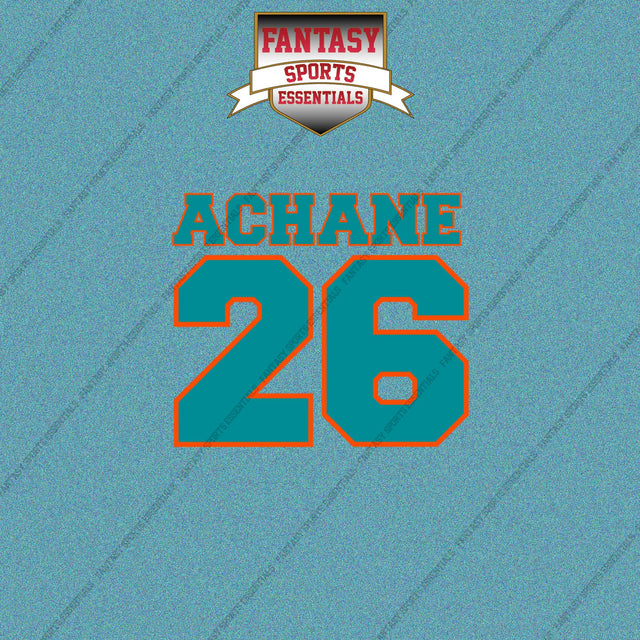 2026 Miami Dolphins Name and Number Car Decals
