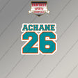 2026 Miami Dolphins Name and Number Magnets