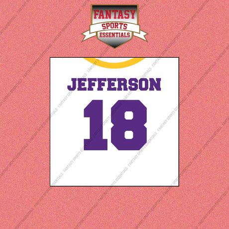 2026 Minnesota Vikings Away Jersey Wall Art Prints