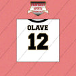2026 New Orleans Saints Away Jersey Wall Art Prints