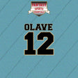 2026 New Orleans Saints Name and Number Car Decals