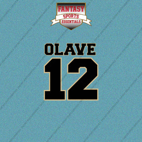 2026 New Orleans Saints Name and Number Car Decals