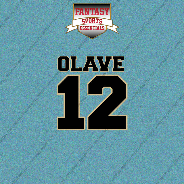 2026 New Orleans Saints Name and Number Car Decals