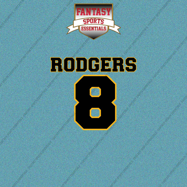 2026 Pittsburgh Steelers Name and Number Car Decals