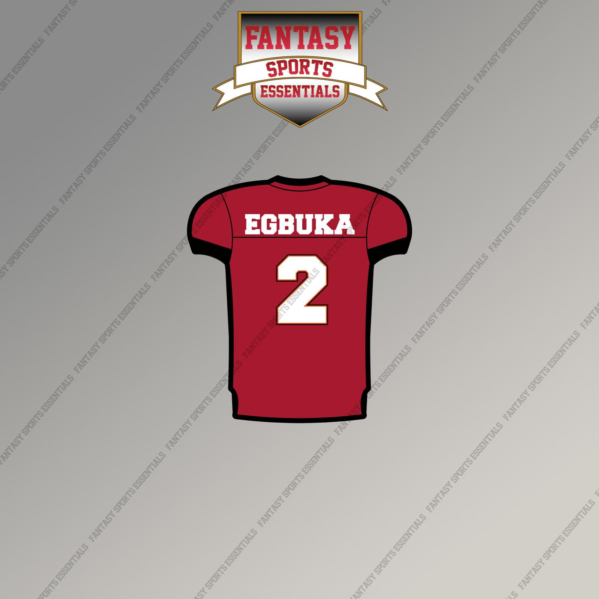 2026 Tampa Bay Buccaneers Home Jersey Magnets