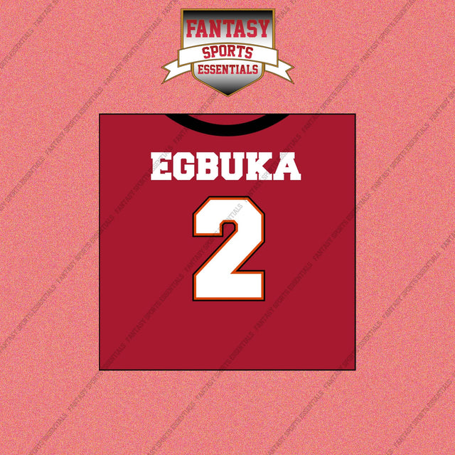2026 Tampa Bay Buccaneers Home Jersey Wall Art Prints