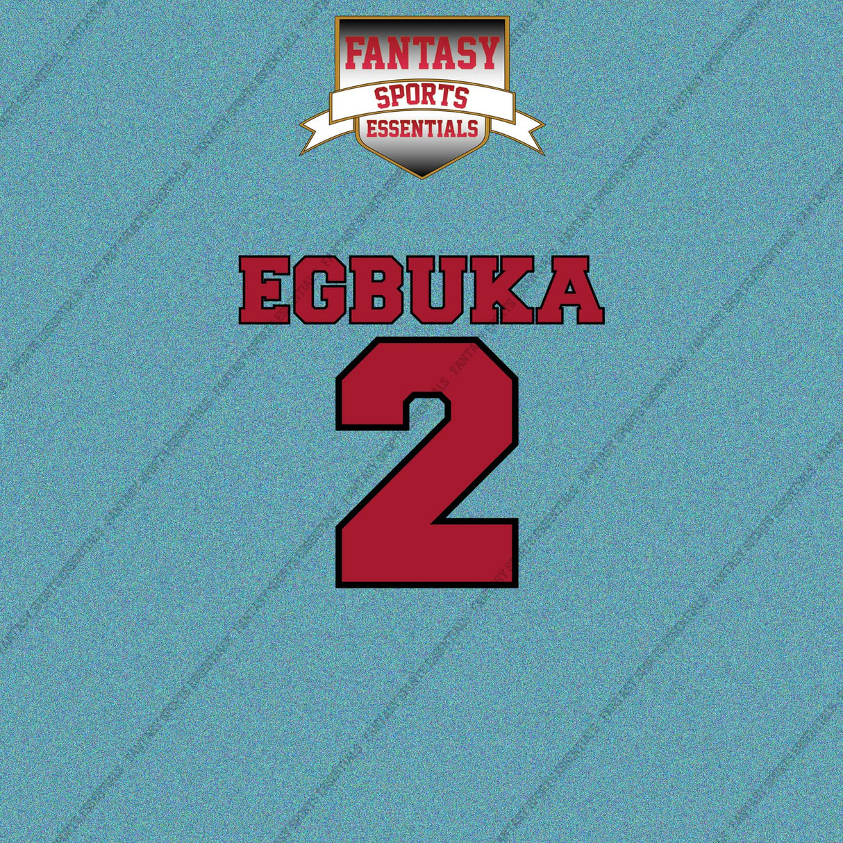 2026 Tampa Bay Buccaneers Name and Number Car Decals