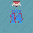 2026 Tennessee Titans Name and Number Car Decals