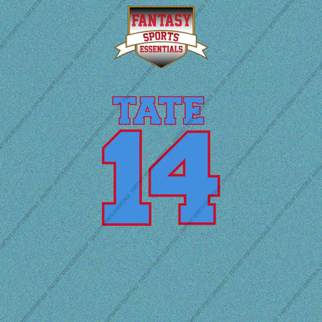2026 Tennessee Titans Name and Number Car Decals