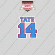 2026 Tennessee Titans Name and Number Glossy Stickers