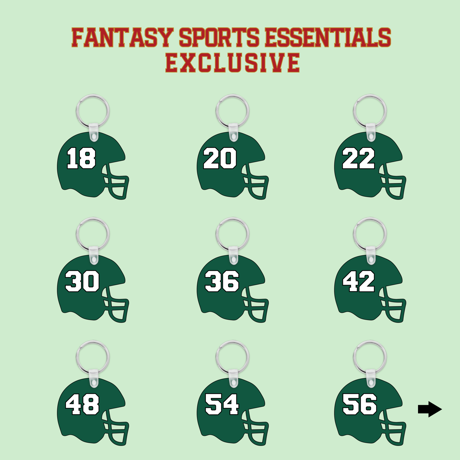 Fantasy Sports Essentials Exclusive New York Jets 2024 Helmet Keychains Page 2