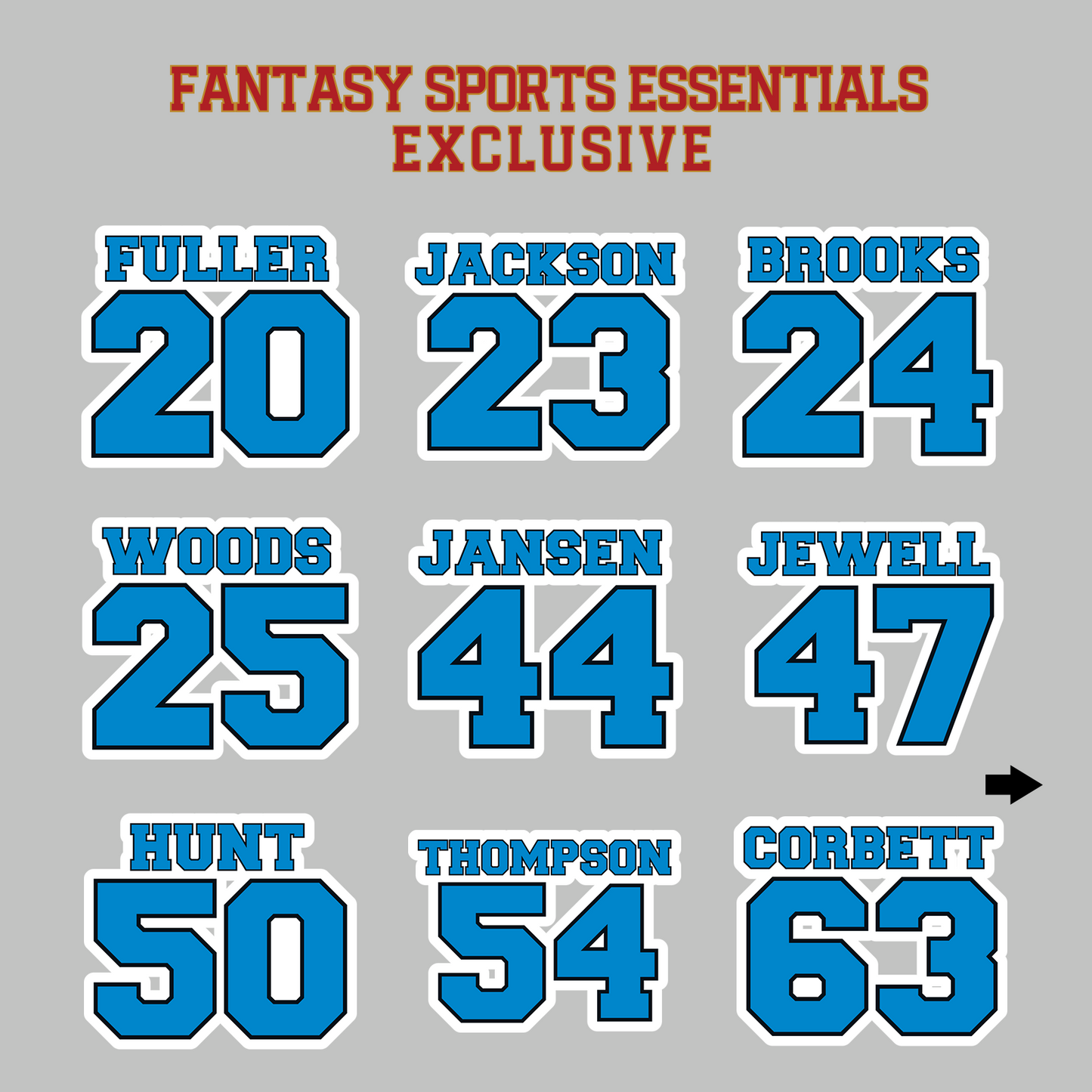 Fantasy Sports Essentials Exclusive Carolina Panthers 2024 Name and Number Magnets Page 2