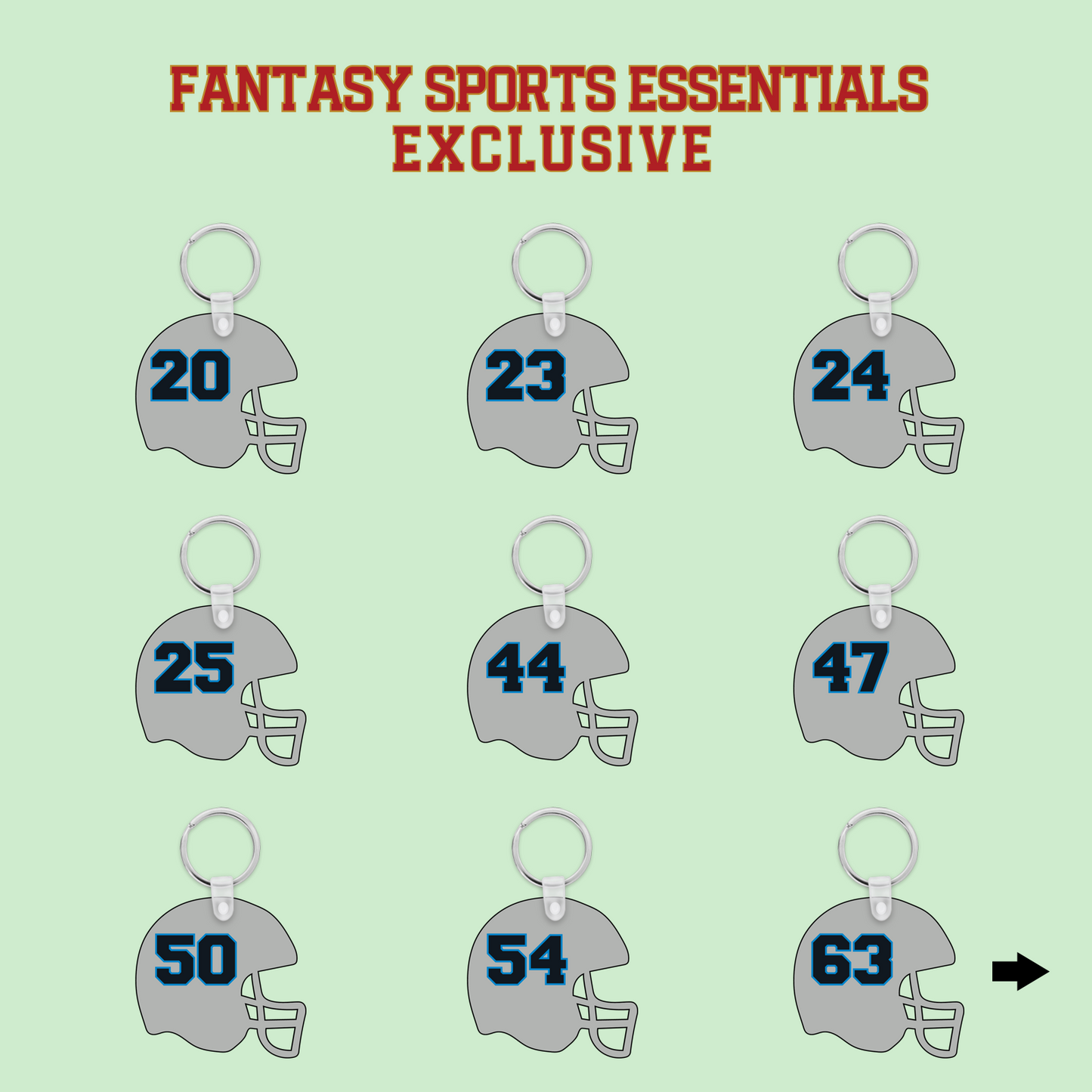 Fantasy Sports Essentials Exclusive Carolina Panthers 2024 Helmet Keychains Page 2