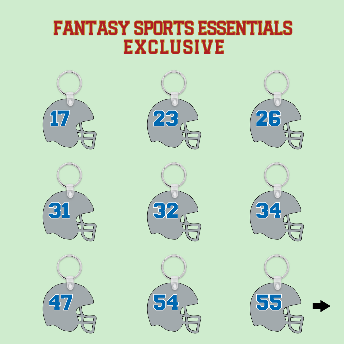 Fantasy Sports Essentials Exclusive Detriot Lions 2024 Helmet Keychains Page 2