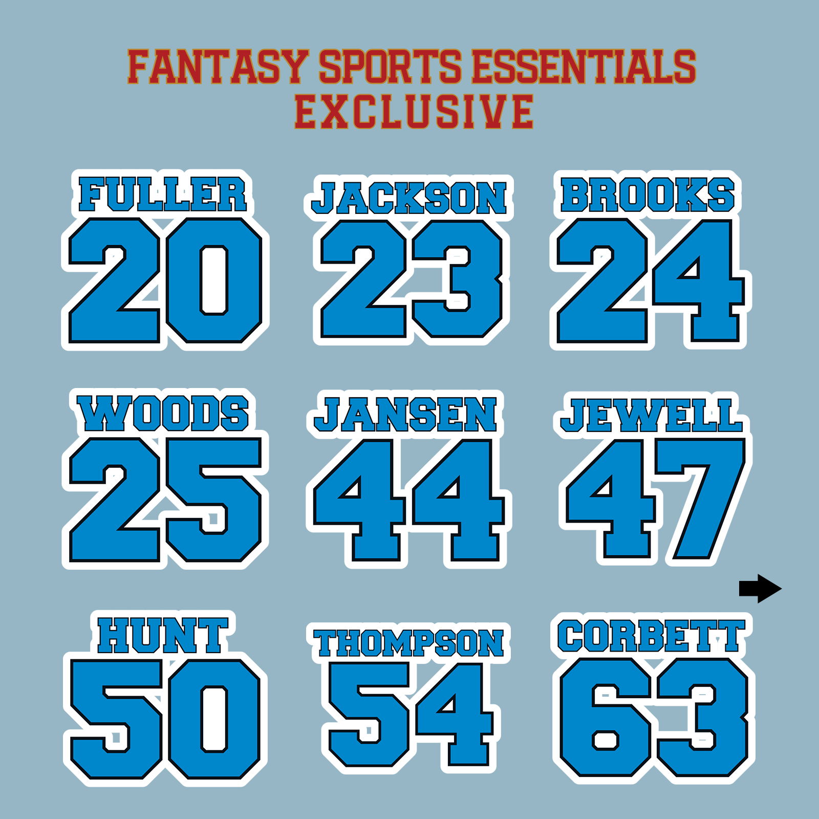 Fantasy Sports Essentials Exclusive Carolina Panthers 2024 Name and Number Matte Stickers Page 2