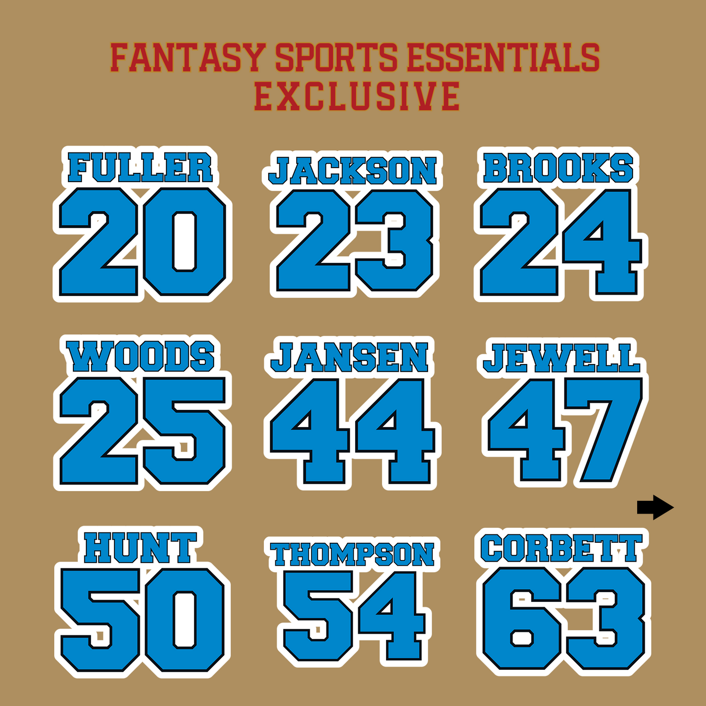 Fantasy Sports Essentials Exclusive Carolina Panthers 2024 Name and Number Glossy Stickers Page 2