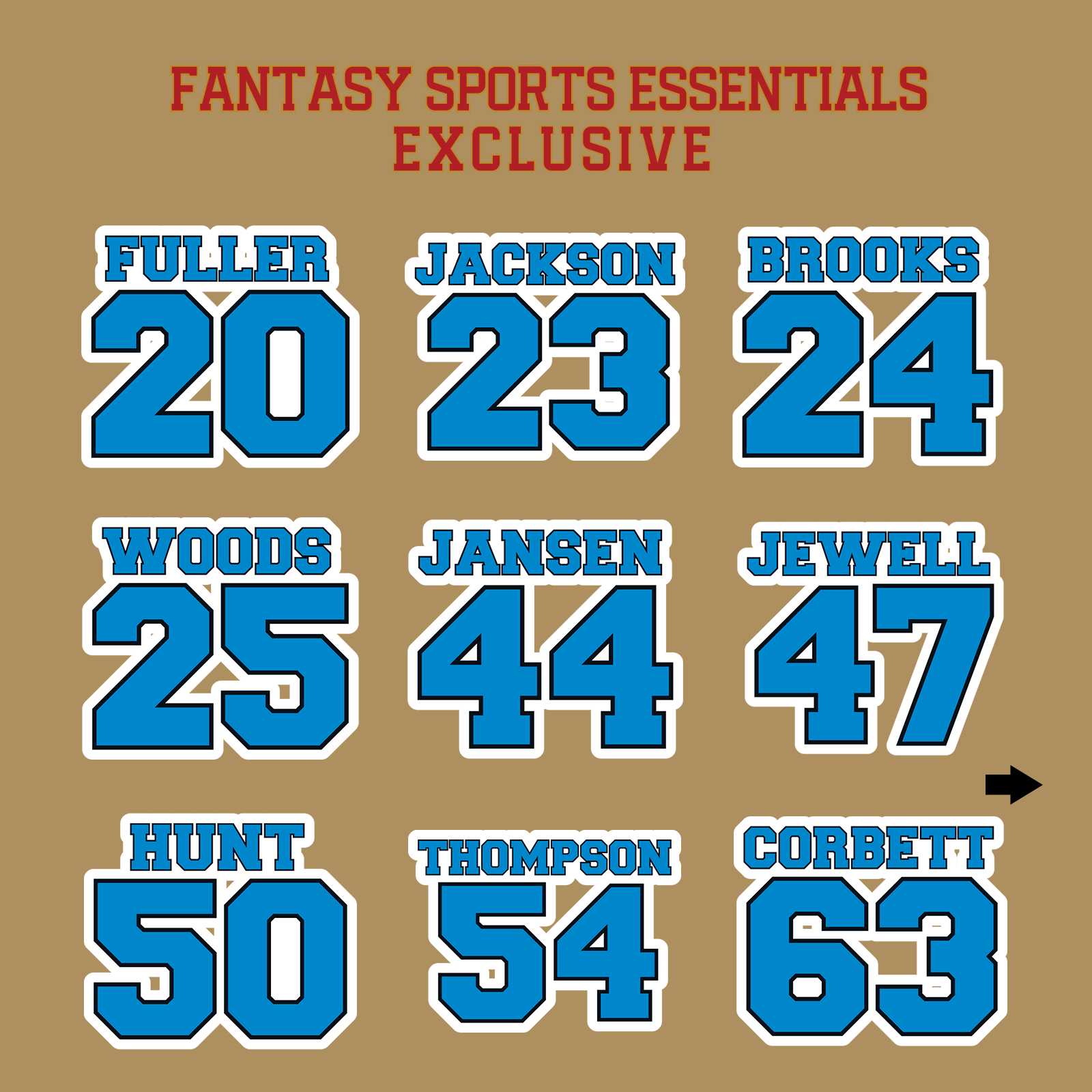 Fantasy Sports Essentials Exclusive Carolina Panthers 2024 Name and Number Glossy Stickers Page 2