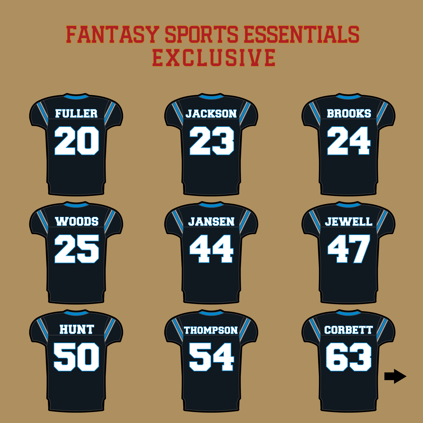 Fantasy Sports Essentials Exclusive Carolina Panthers 2024 Home Jersey Glossy Stickers Page 2