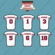 Arizona Cardinals 2025 Away Jersey Car Decals (Choose Your Player) Page 1