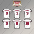 Arizona Cardinals 2025 Away Jersey Magnets (Choose Your Player) Page 1