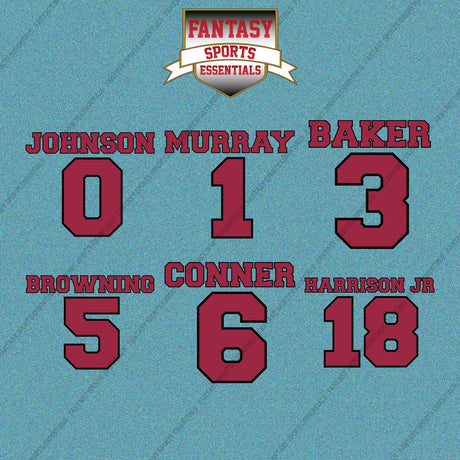 Arizona Cardinals 2025 Name and Number Car Decals (Choose Your Player) Page 1
