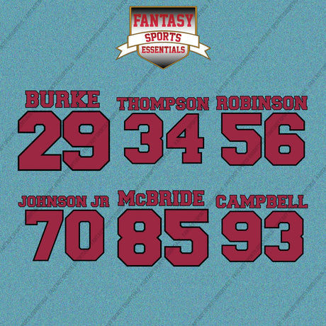 Arizona Cardinals 2025 Name and Number Car Decals (Choose Your Player) Page 2