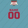 Arizona Cardinals Personalized Current Name and Number Car Decals