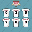 Atlanta Falcons 2025 Away Jersey Car Decals (Choose Your Player) Page 1