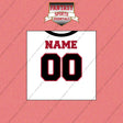 Atlanta Falcons Personalized Current Away Jersey Wall Art Prints