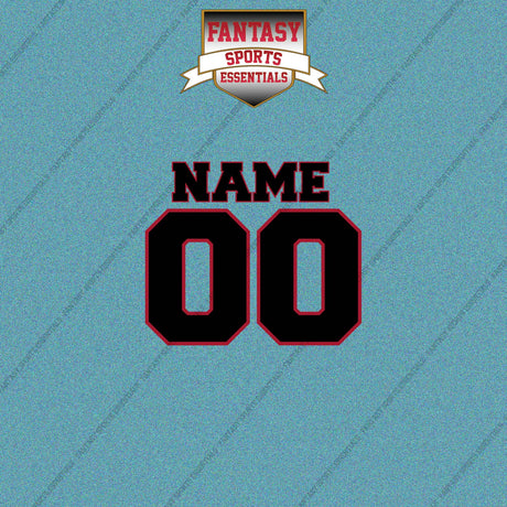 Atlanta Falcons Personalized Current Name and Number Car Decals