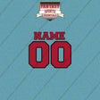 Atlanta Falcons Personalized Current Name and Number Car Decals